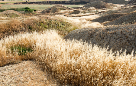 Agriculture land background harvested fields and mountain slopesの写真素材