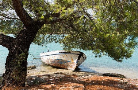 Small fishing wooden boat resting on the coast of Glarokavos beach under a pine tree  in Chalkidiki peninsula , Greece.の写真素材