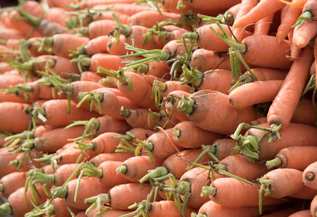 Group of fresh carrots on a fruit marketの写真素材