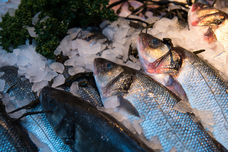 Fresh healthy fish resting on ice on a fish market ready to be cooked.
