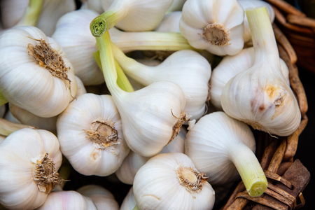 Group of fresh with healthy garlic vegetables on a food marketの写真素材