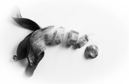 Black and white images of Slices of  a rotten unhealthy banana.