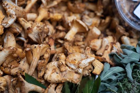 Fresh healthy mushroom vegetables on the basket on a fruit marketの写真素材