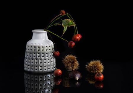 Tree branch with red berry fruits on a white modern vase creating a beautiful abstract still-life compositionの写真素材
