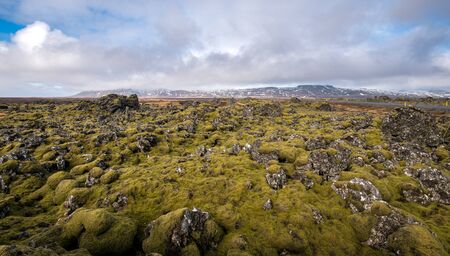 Icelandic landscape covered with moss and volcanic rocks in snaefellsnes peninsula icelandの写真素材