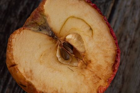 Yellow wilted rotten half apple details.の写真素材