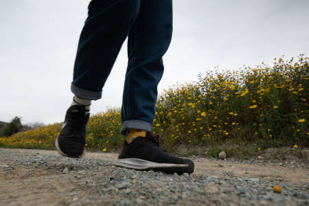 Unrecognized person walking in rural road with yellow bloom flowers in spring.