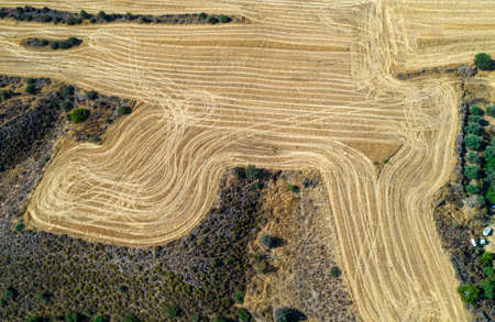 Birds eye view of cereal field after harvesting in Summer. Agriculture Cyprusの写真素材