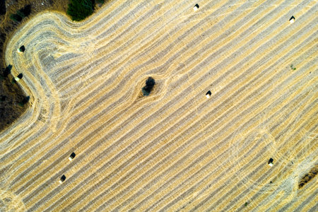 Harvesting in Cyprus. Stacks of hay bales on summer field. Agriculture outdoorsの写真素材