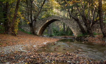 Autumn landscape with river flowing below ancient stoned bridge and yellow maple leaves on the ground.の写真素材