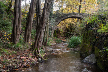 Autumn landscape in an ancient stoned bridge and yellow maple leaves on trees and ground.
