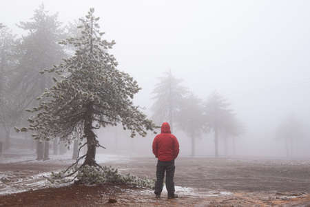 Person in worm clothing trekking in the forest in winter. Snow storm wintertime.