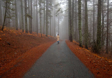 Young woman walking in a rural road in the forest in winter. Troodos mountain Cyprusの写真素材