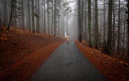 Young woman walking in a rural road in the forest in winter. Troodos Cyprusの写真素材