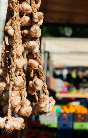Group fresh healthy dry garlic vegetables on a food market. Vegan healthy eatingの写真素材
