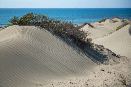Sand dunes against near sea Copy space, Desert dry coast land Cyprus