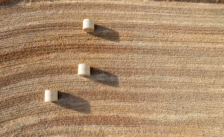 Harvesting in spring. Stacks of hay bales on summer field. Agriculture outdoorsの写真素材