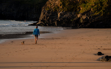 Unrecognized person walking with dog on the sandy beach at sunset. Healthy lifestyle. Exercising outdoorsの写真素材