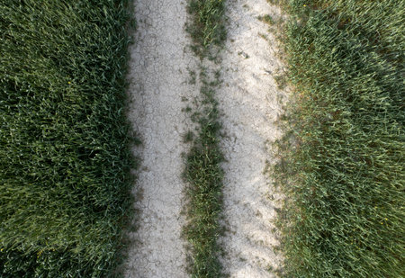 Drone scenery of secondary dry rural road crossing a farmland meadow