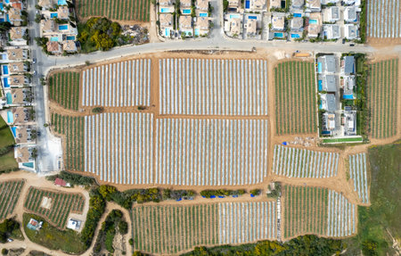 Aerial drone view of greenhouses in a row, covered with a transparent film of growing vegetables and fruits. Food cultivation farming, bio productsの写真素材