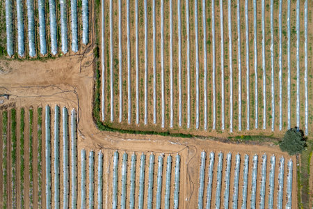 Aerial drone view of greenhouses in a row, covered with a transparent film of growing vegetables and fruits. Food cultivation farming, bio productsの写真素材