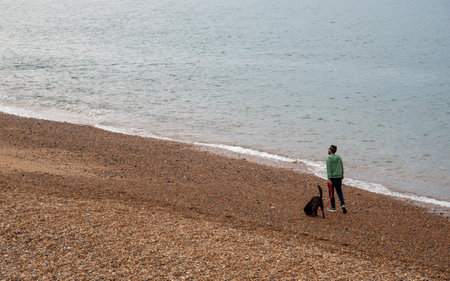 Unrecognized person walking with dog in the pebble beach. People active outdoorの写真素材