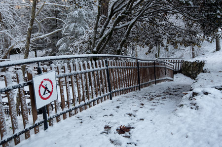 Forest picnic area with food wooden bench covered in snow. Winter snowy season snowstorm.の写真素材