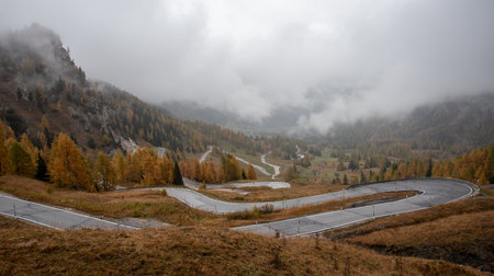 Autumn landscape with beautiful yellow trees and curved empty road in autumn.の写真素材