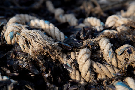 Corroded Twisted ship mooring strong rope for securing fishing boatsの写真素材