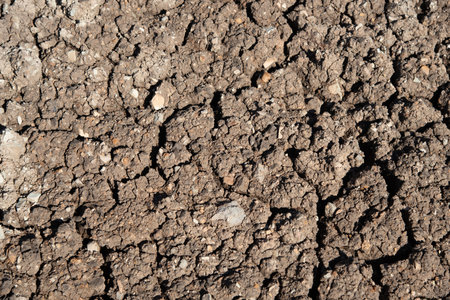 Dry cracked ground background. Concept image of global warming
