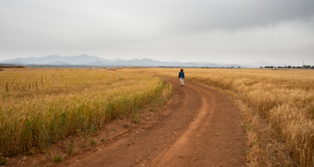 Young woman walking outdoors on in a field. Hiking outdoor. Healthy lifestyle.の写真素材