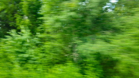 Green abstract nature background. Natural green blur trees. Energy and Power conceptの写真素材