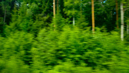 Green abstract nature background. Natural green blur trees. Energy Power high speed concept.の写真素材