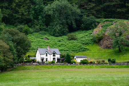 A house sits in a lush green field with a large tree in the backgroundの写真素材