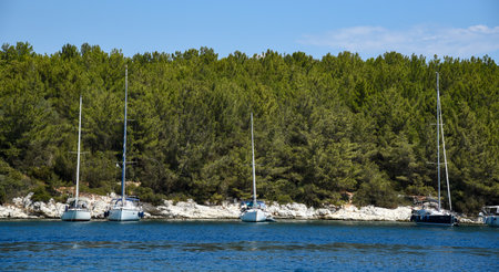 Sailboats anchored in peaceful bay near lush green forest. Fiskardo, Kefalonia Greece