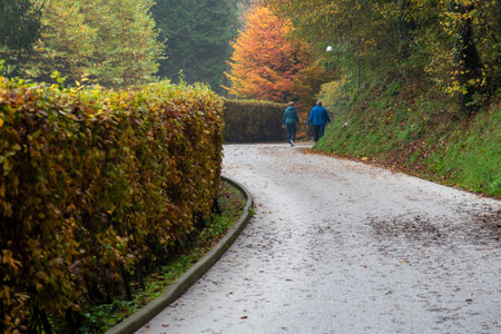 Retired couple walking on a path in autumn park. Healthy lifestyle. People active outdoors