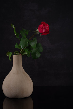 A single vibrant red rose stands gracefully in a textured beige vase, surrounded by lush green leaves. The dark background enhances the floral beauty and design elegance.の写真素材