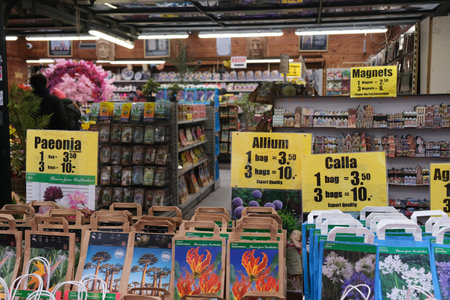 Amsterdam, Netherlands, February 10 2025: Flower bulbs and souvenirs at a flower market stall in amsterdam, netherlandsのeditorial素材