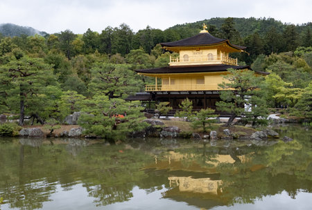 Golden pavilion, kinkaku-ji, reflecting on the water of the pond surrounded by trees and vegetation in kyoto, japanの写真素材