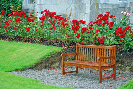 A Quiet Place To Restの写真素材