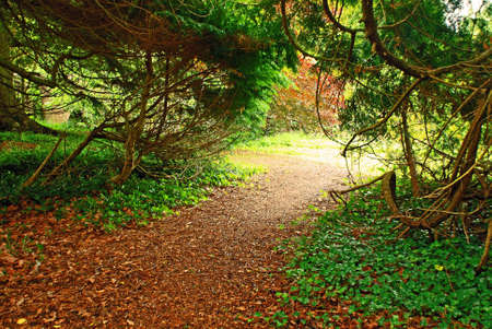 A Quiet Strollの写真素材