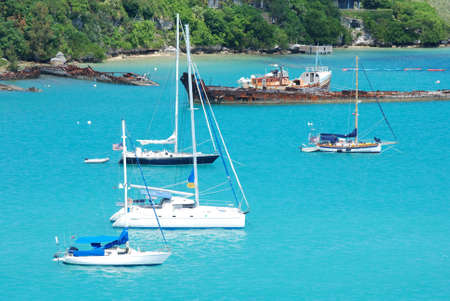 A Tropical Harborの写真素材