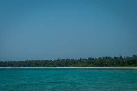 Island with lush coconut trees in a blue seaの写真素材