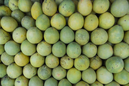 Fresh pomelo melon for sale