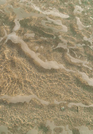 White sand beachの写真素材