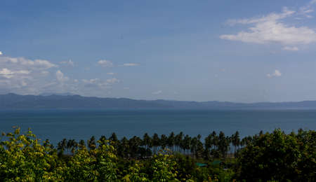 Ocean view from a beach filled with coconut trees