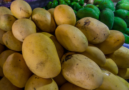 Yellow and green mangoes for saleの写真素材