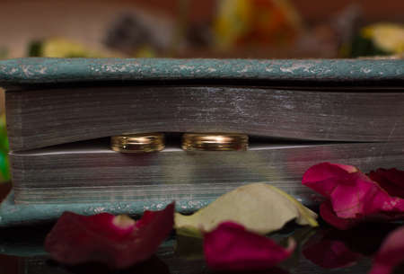 Wedding rings in between the pages of the Bible.の写真素材