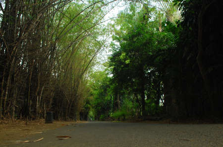 Scenic view of a park during summerの写真素材