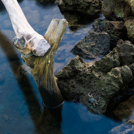 Rocks on a serene blue seaの写真素材
